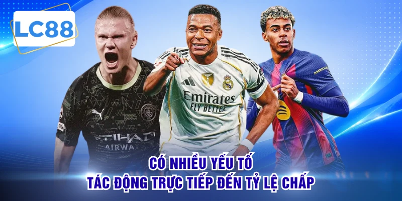 Có nhiều yếu tố tác động trực tiếp đến tỷ lệ chấp